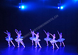 A showcase of dance - Menschen